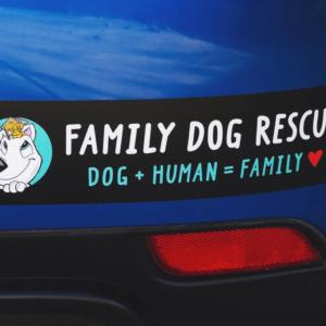 Make your own bumper stickers 